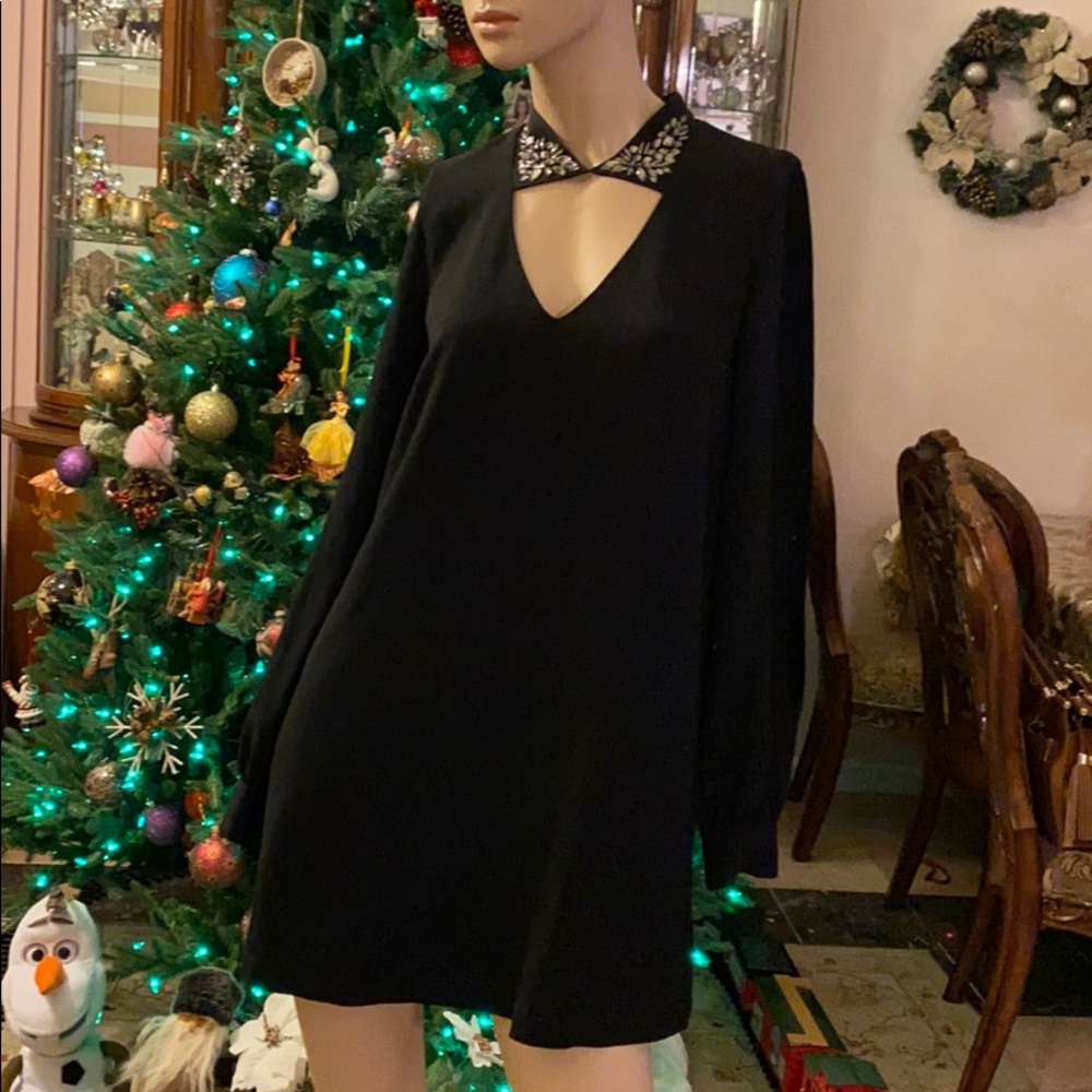 Bcbg Maxazria long sleeve dress brand new size XS